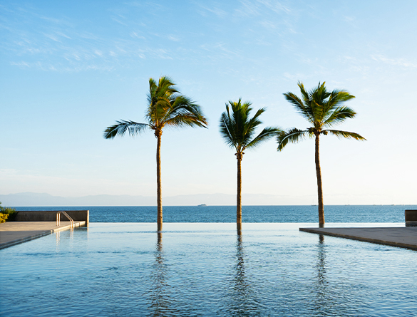 Infinity Pool